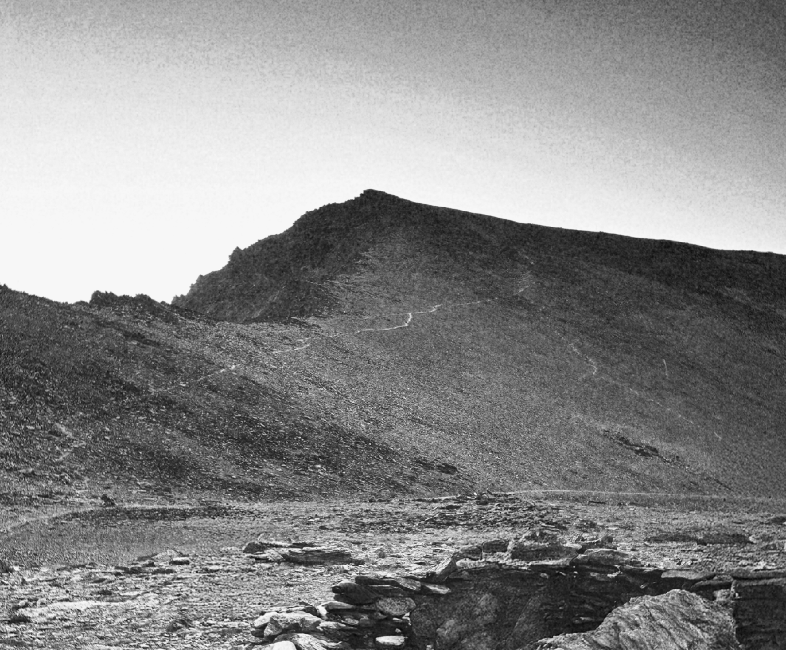 af554e826ca4ff6a00ac2eb4e6f0b1a8adba8a51